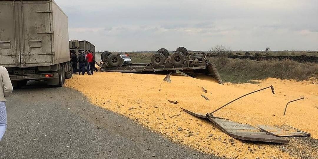 Зерно или Дорога