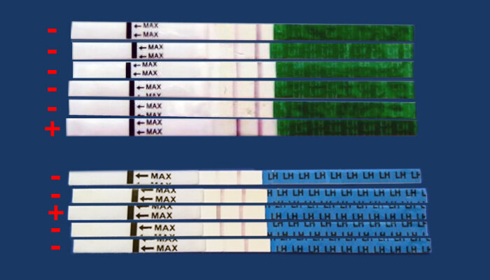 Бледная вторая полоска: почему тест на беременность может ошибаться?