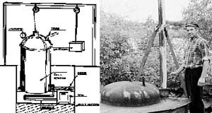 Фото взято с сайта http://kedr.primorye.ru