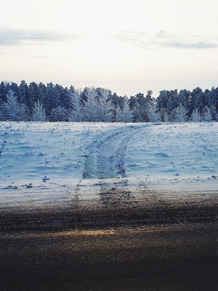 Давайте начнем путь в неизведанное. Фото автора.