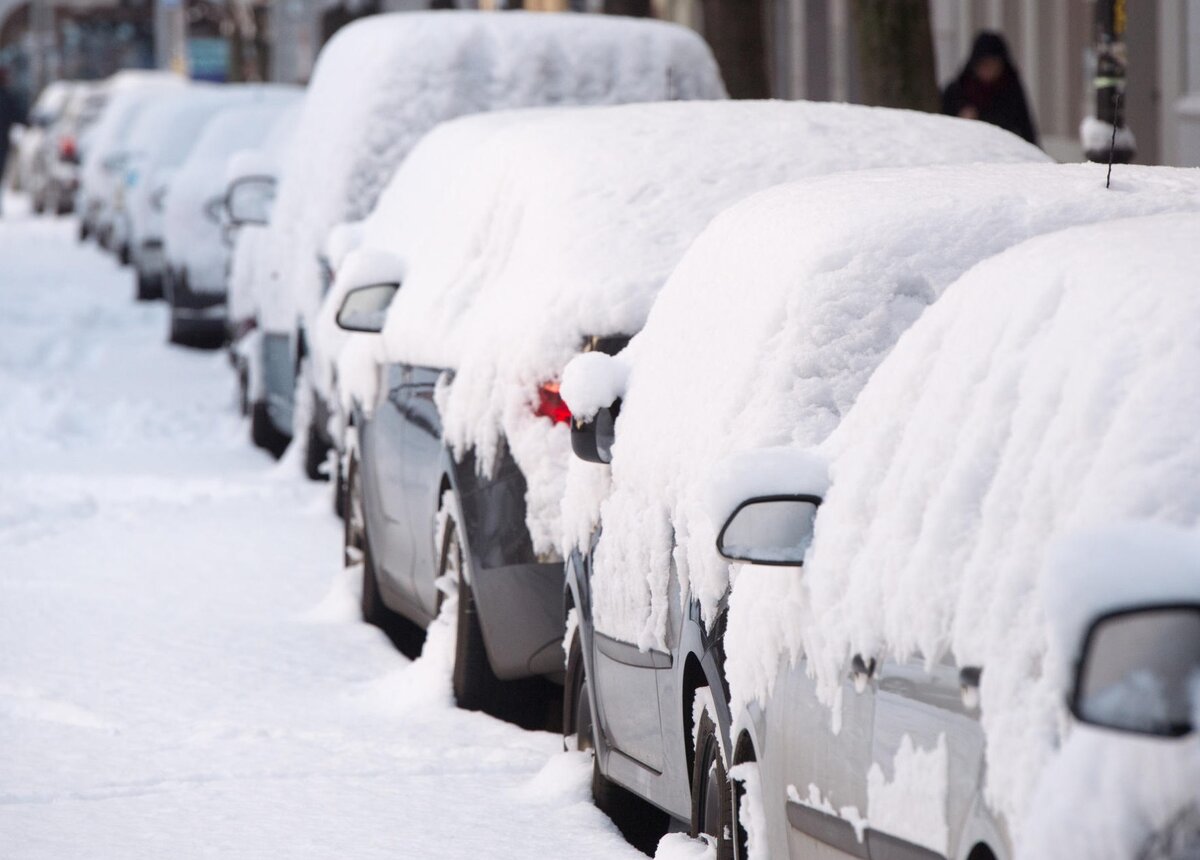 фото:Яндекс. Картинки