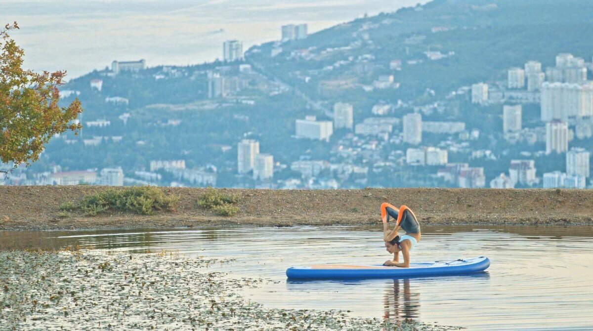 Фото с сайта http://ru.wilmax.club