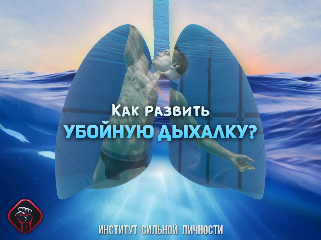 Фото взято из открытых источников