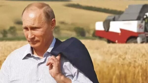 Владимир Путин настаивает, чтобы целевые субсидии без проволочек доводились до сельхозпроизводителей Фото: agrarii.com