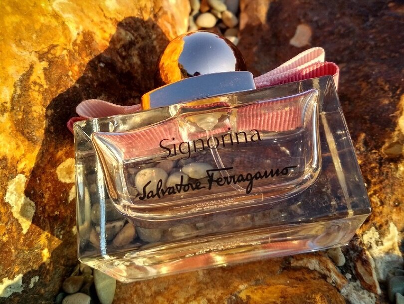 Signorina Salvatore Ferragamo: панакота и розовый перец - для настроения (фото автора)