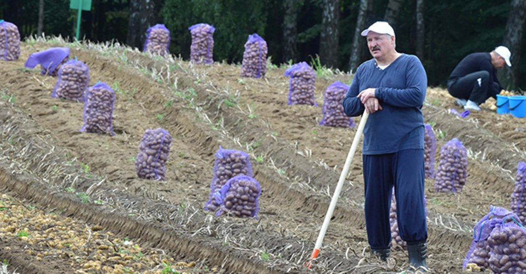 Бацька Лукашенко