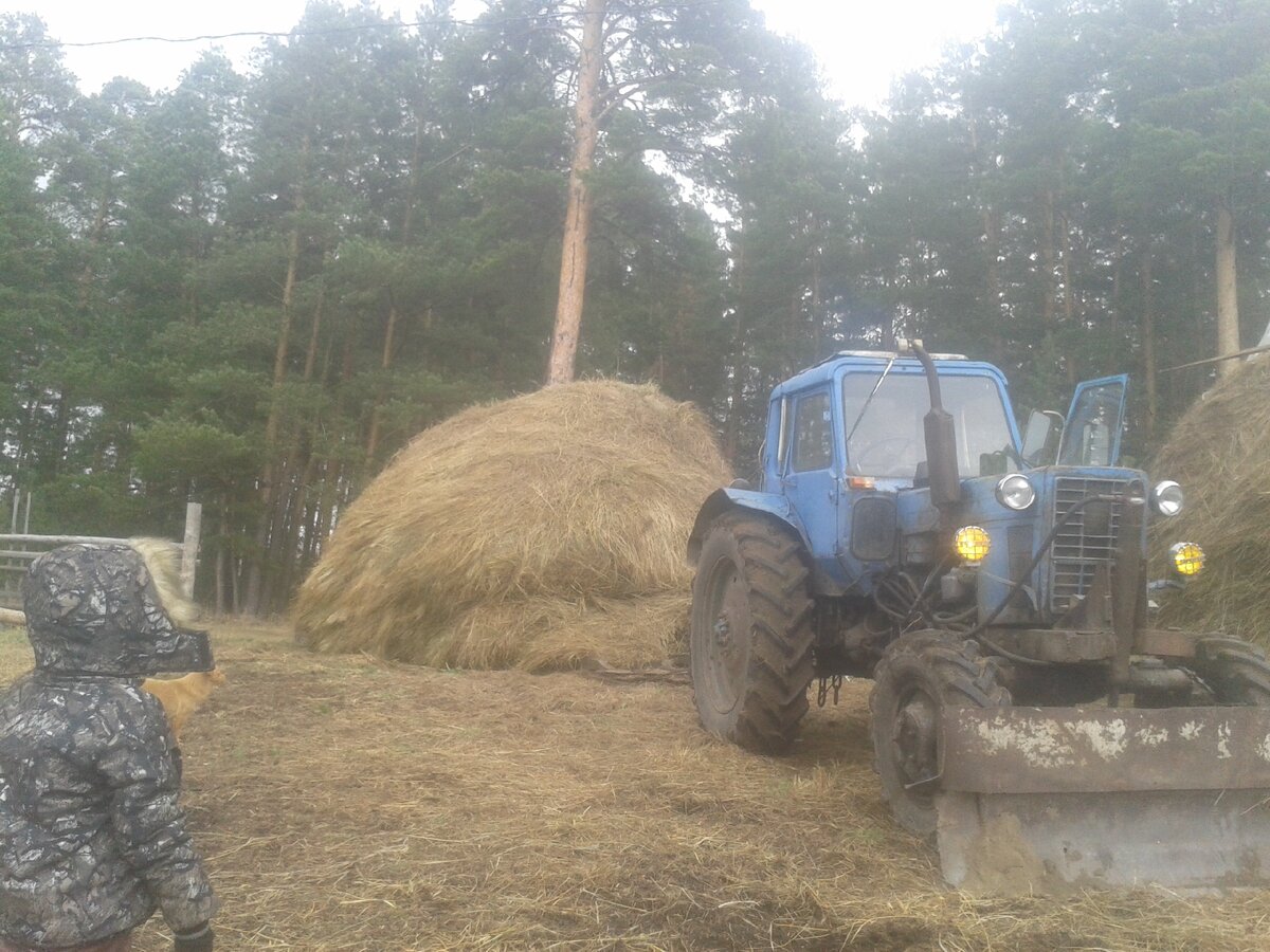 Привезли сено.