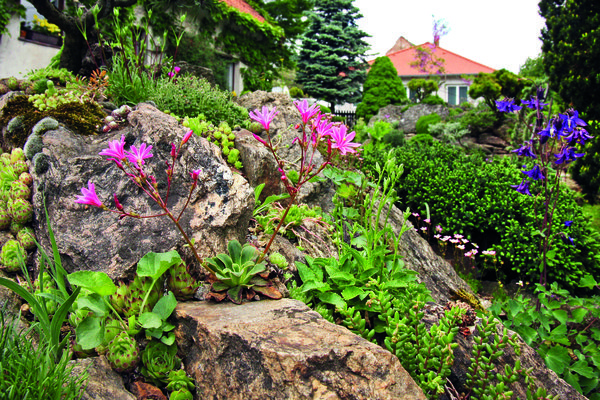 альпинарий