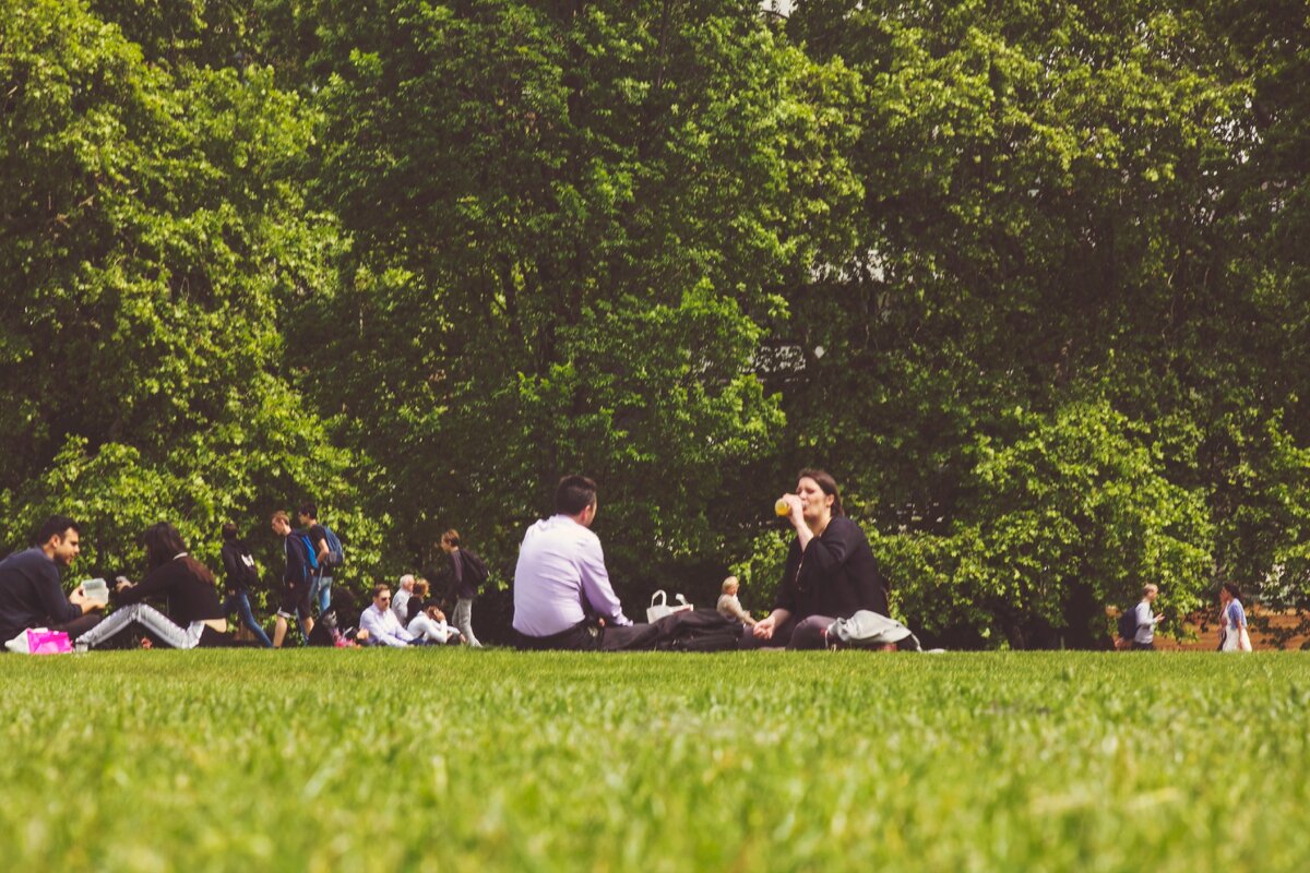 Традишинал ланч тайм