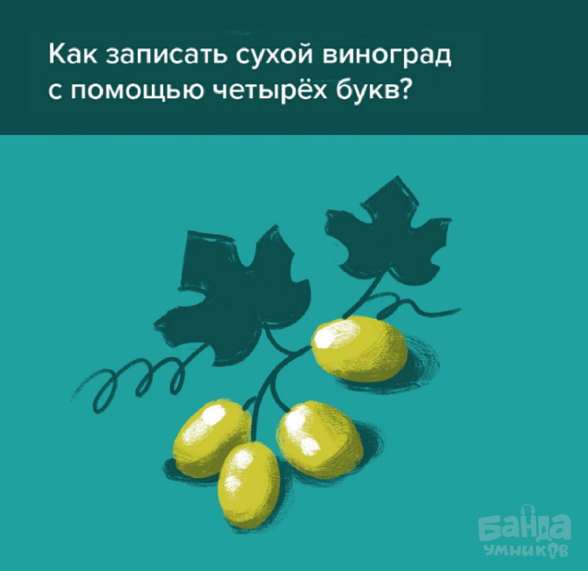 Как записать виноград с помощью четырёх букв? 🍇 | Банда умников | Дзен