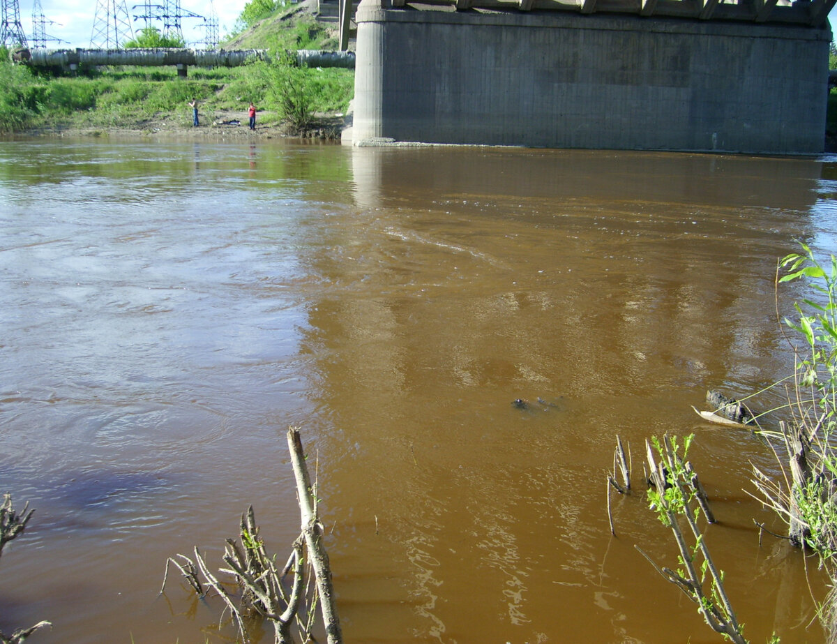 Коричневая вода в речке