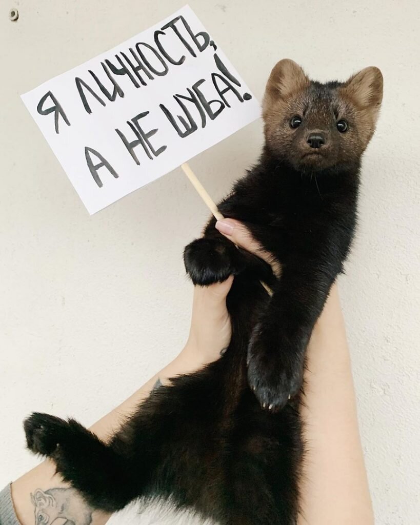 Источник: vk.com