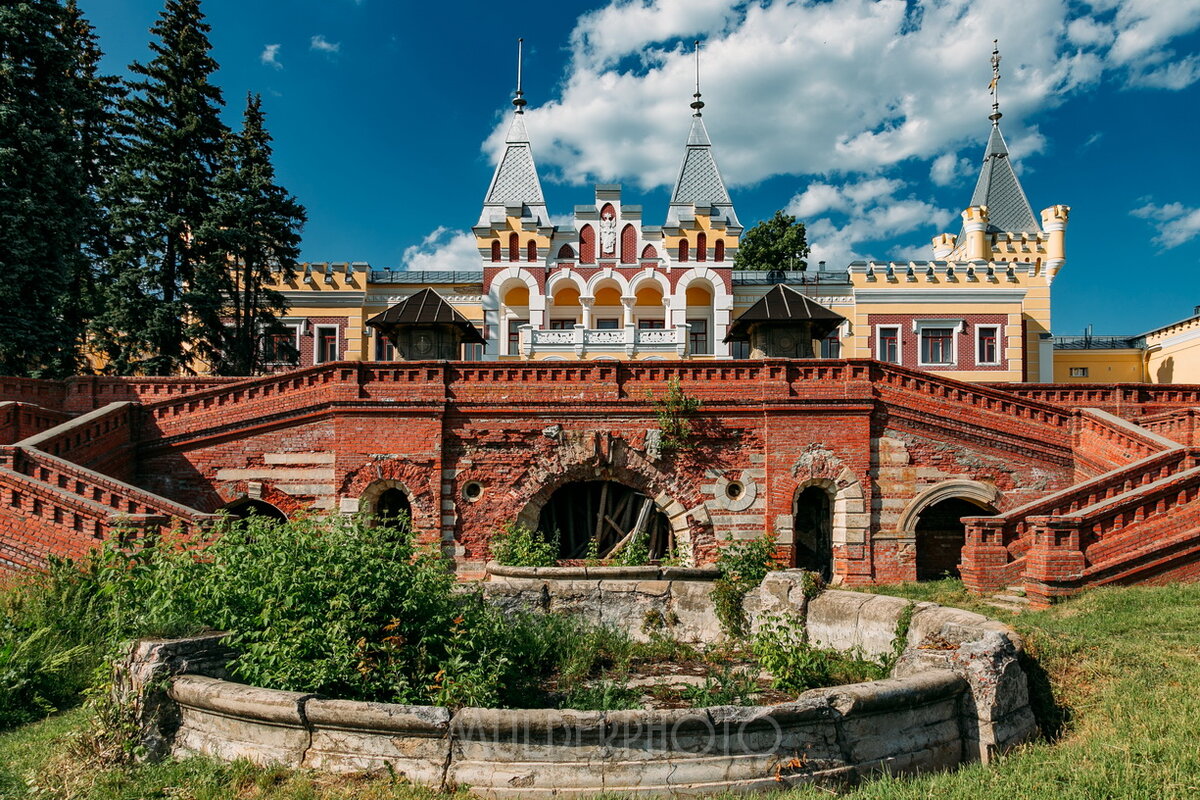 Кирицы усадьба фон дервиза. Усадьба Кирицы Рязань. Кирицы дворец барона фон Дервиза. Рязань Кирицы замок Золушки.