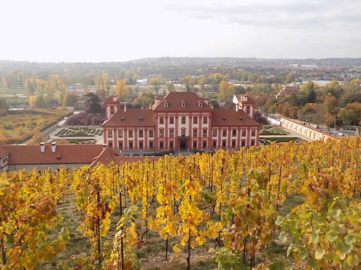 Вид на замок осенью со стороны виноградников святой Клары - это на склоне холма по другую сторону улицы (фото из личного архива)