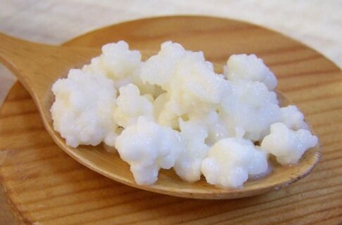 лечебный тибетский гриб