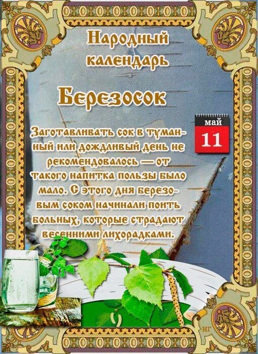 Березосок  
Дата в 2020 году:11 мая

Другие названия: День березового сока
Традиции: Приготовление лекарства из лечебных трав и березового сока; гуляние на свежем воздухе; обряд «ловли полуденного ветра»

Березосок отмечается 11 мая 2020 года (по старому стилю – 28 апреля). Этот народный праздник посвящается чудесному дару природы – соку березы. В этот день он считается волшебным, напитанным большой силой восстановления и исцеления человеческого организма.

История

Березу на Руси издавна почитали и уважали. Ее красоту воспели многие поэты, певцы и художники, как отечественные, так и зарубежные. Кору, листья, сережки, сок до сих пор используют в лечебных и профилактических целях.

Легенда гласит, что стоящая отдельно от других березка – это душа человека, который погиб не своей смертью. Внутри у нее находится не сок, а настоящая кровь.

Традиции и обряды

В этот день готовят лекарство от лихорадки, отеков, подагры, застарелого ревматизма, артрита и множества других заболеваний. Специальный отвар из лечебных трав смешивают с березовым соком. При его сборе используют специальные возвышения. Чем выше взят натуральный сок, тем он ценнее, целебнее и вкуснее. В старину этим занимались знахари. Они брали с собой в лес или березовую рощу местных мальчишек, которым было в радость полазить по деревьям для дела, а не ради забавы.

Люди, которые страдают какими-либо заболеваниями или просто ослабевшие после долгих хмурых зимних дней, стараются провести на свежем воздухе как можно больше времени. Теплый ветер в день Березосока с давних пор считается исцеляющим и укрепляющим здоровье.

Люди совершают обряд «ловли полуденного ветра». Берут заранее изготовленную для этого специальную ладанку, идут на перекресток и ждут, когда подует свежестью. После эту ладанку надевают на шею больного. Но прежде, если день теплый, больной должен искупаться в дождевой воде.