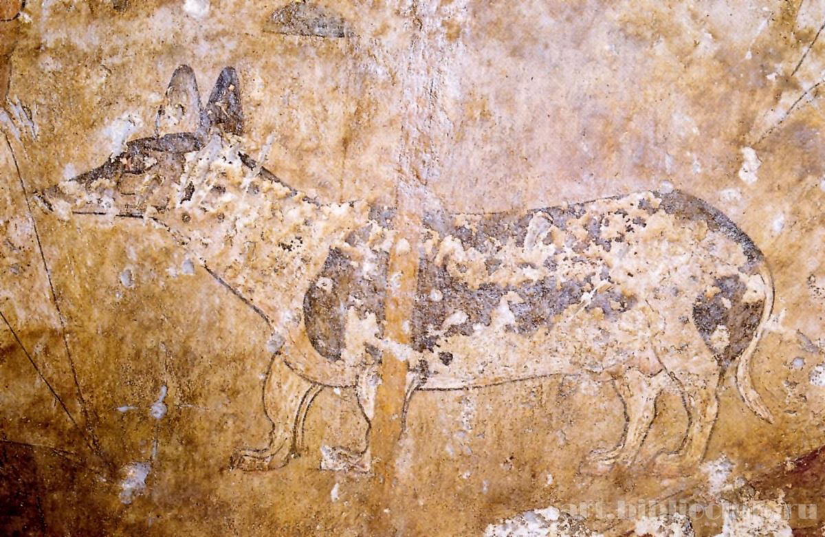 По некоторым версиям данная собака представляет собой таксу. Эту фреску нашли в Египте.