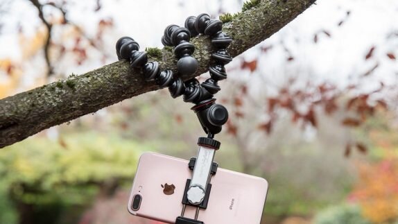 26.05.2020Добавить комментарийАвтор: JackieQueensland