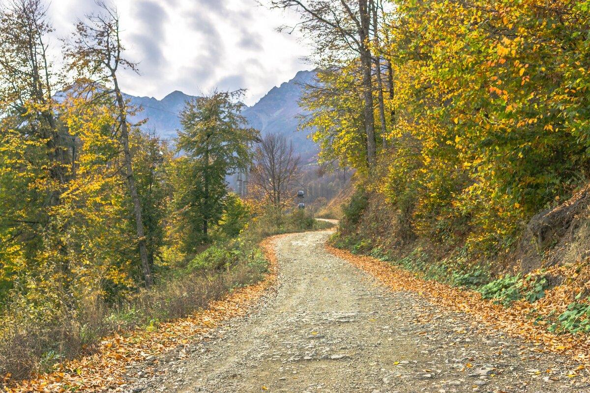 Евгений Юшков.