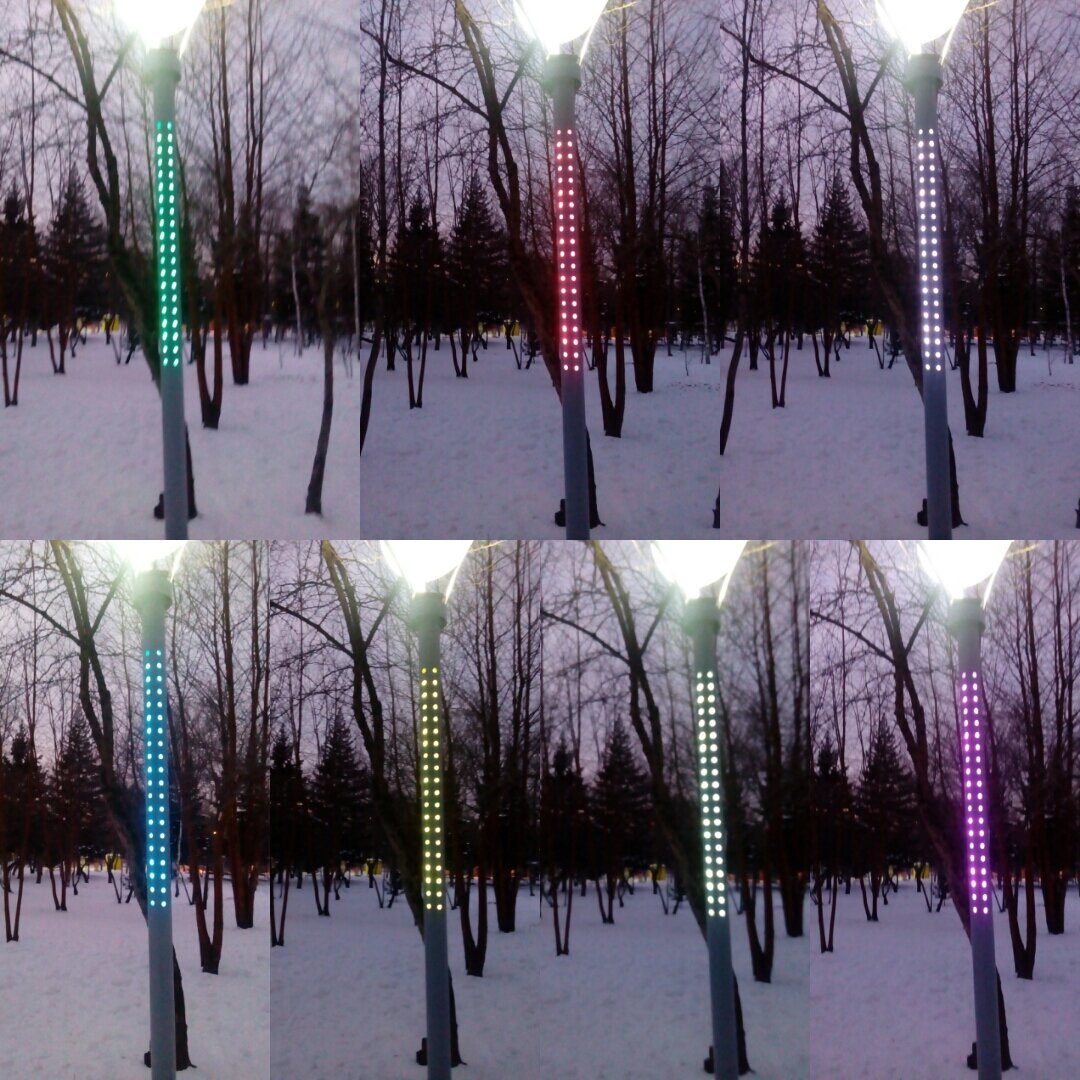 Личное фото.