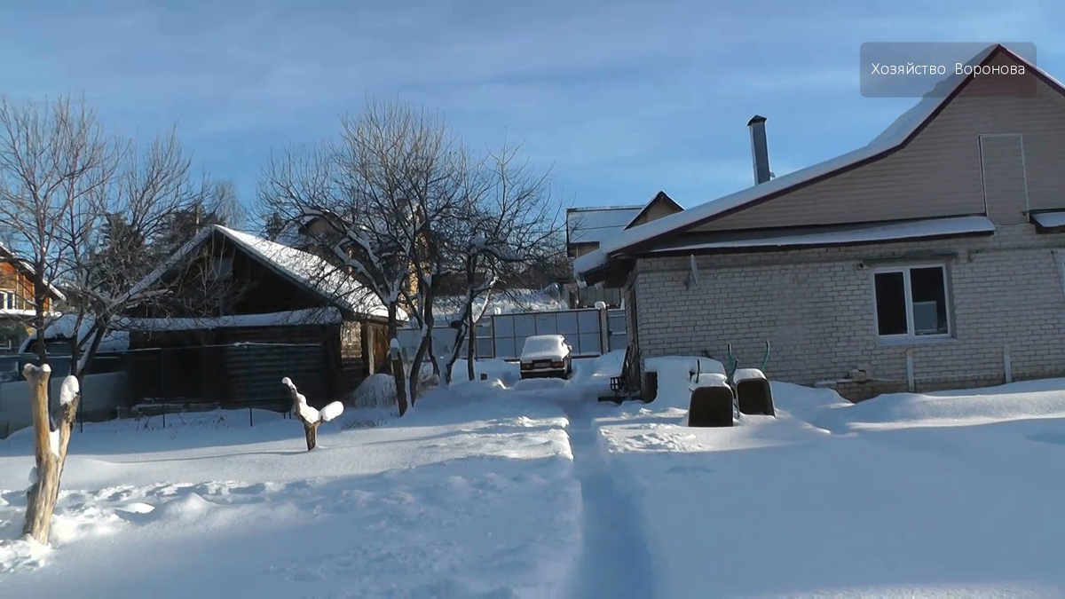 Дом и курятник