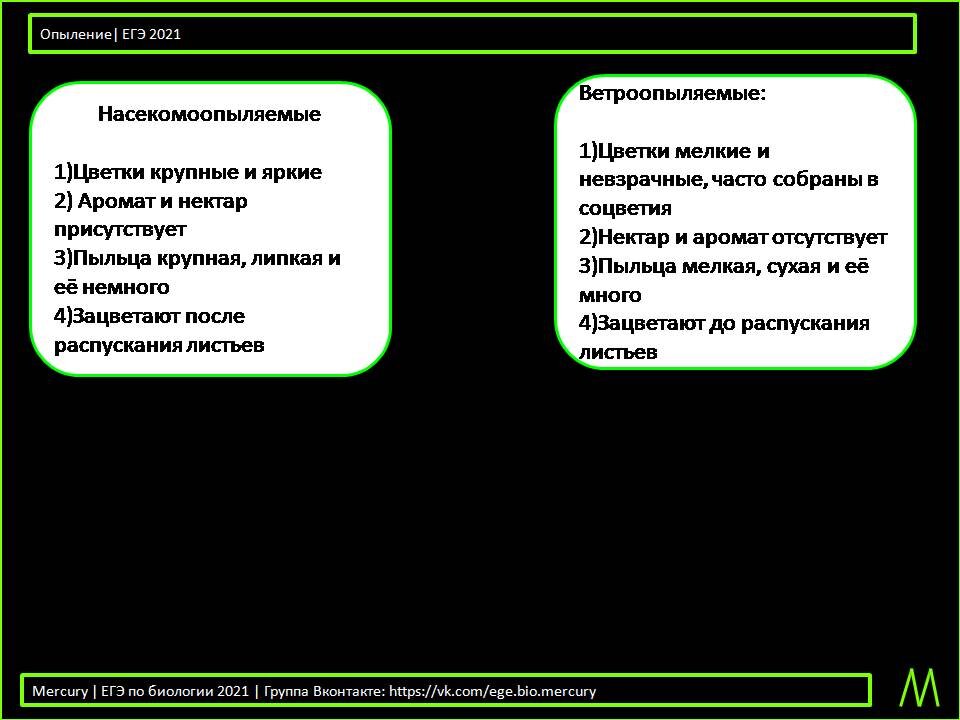 Генеративные органы и размножение цветковых растений