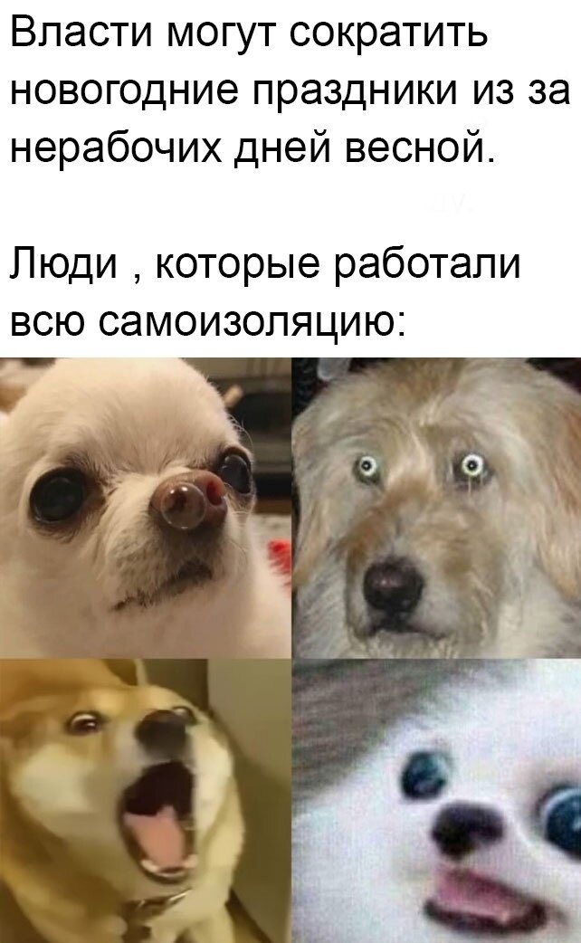 Смешные мемы с фото