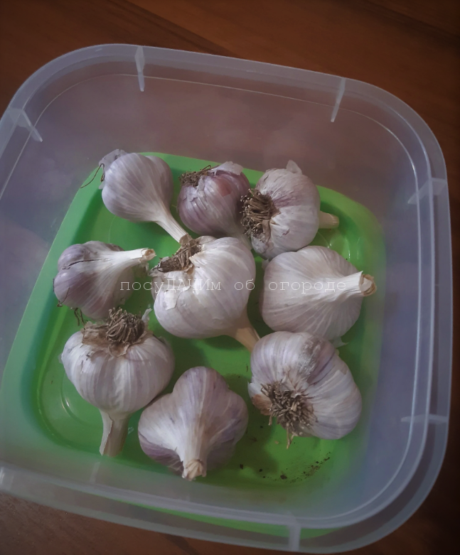 Остатки прошлогоднего урожая