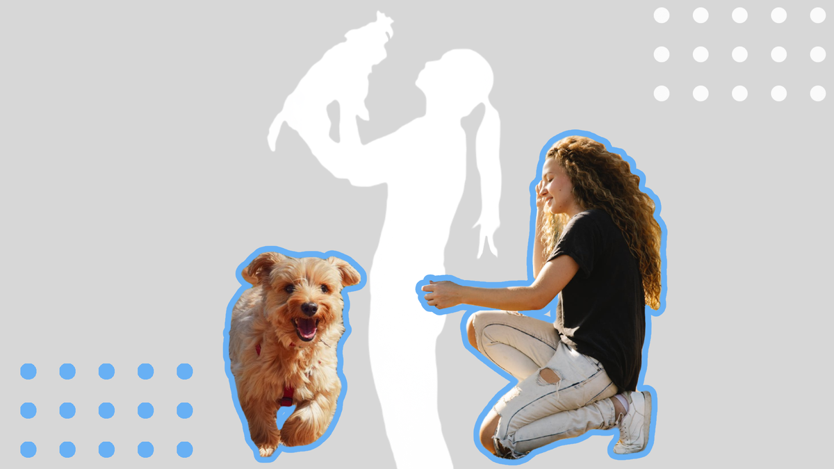 Пес по кличке Уно вернулся домой спустя 9 месяцев