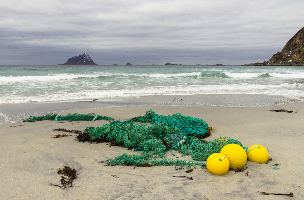 Фото: Bo Eide / Flickr / CC BY-NC 2.0