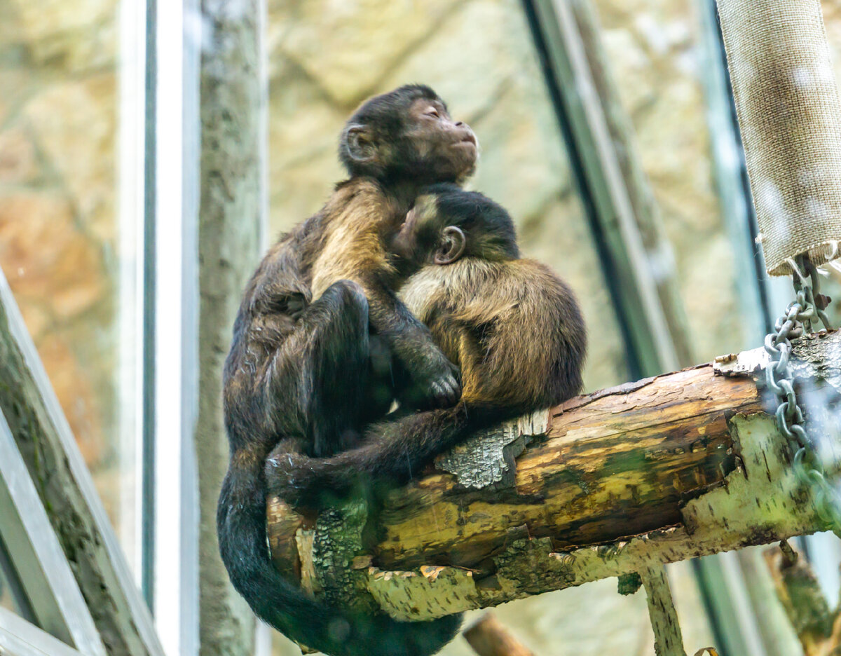 все фото из семейного архива