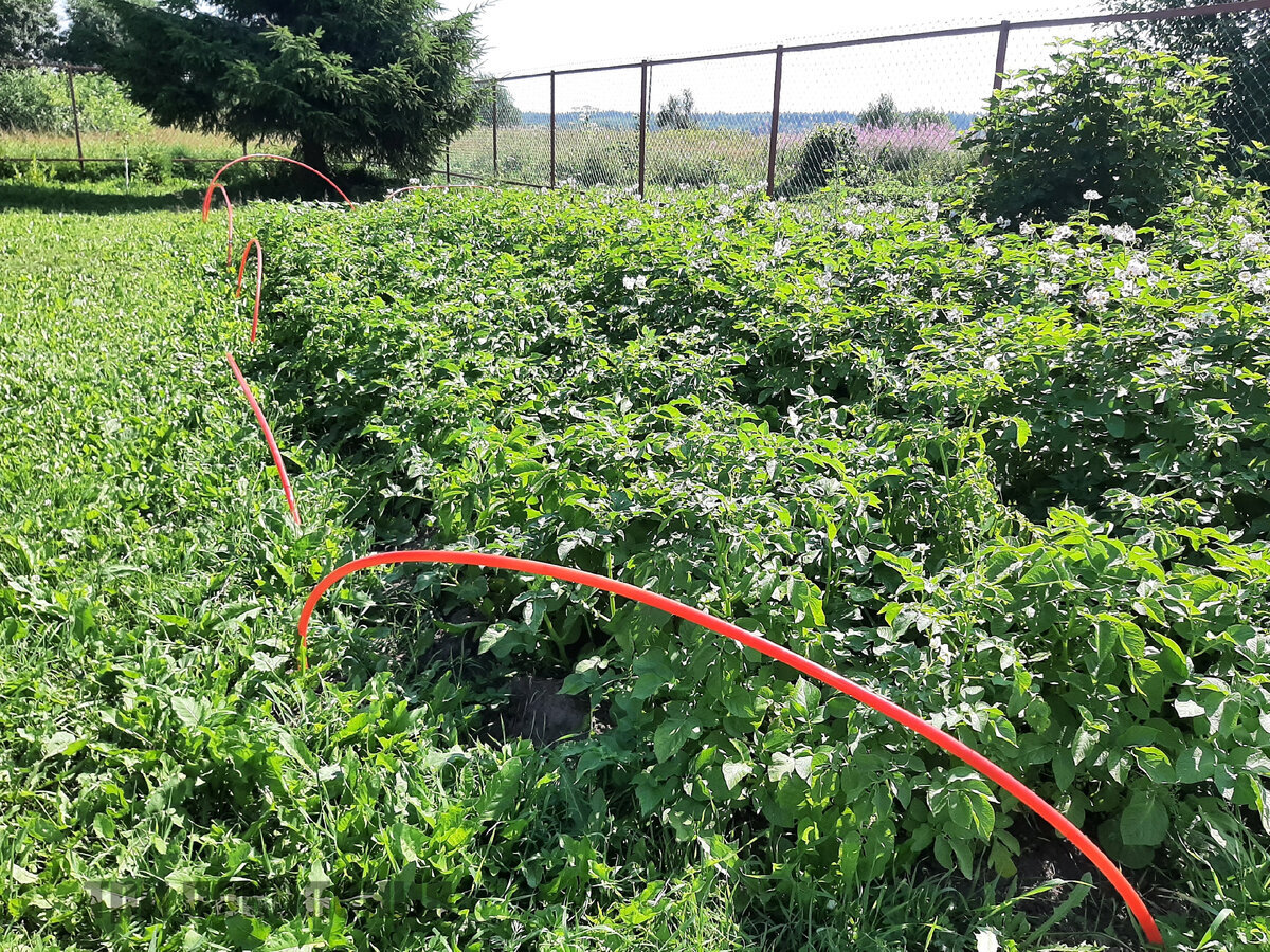 Добавьте описание