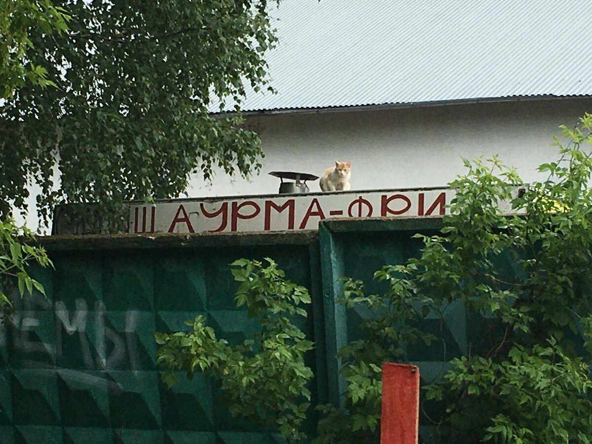 2021.07.07 Луховицы. Шаурма с кем? :)