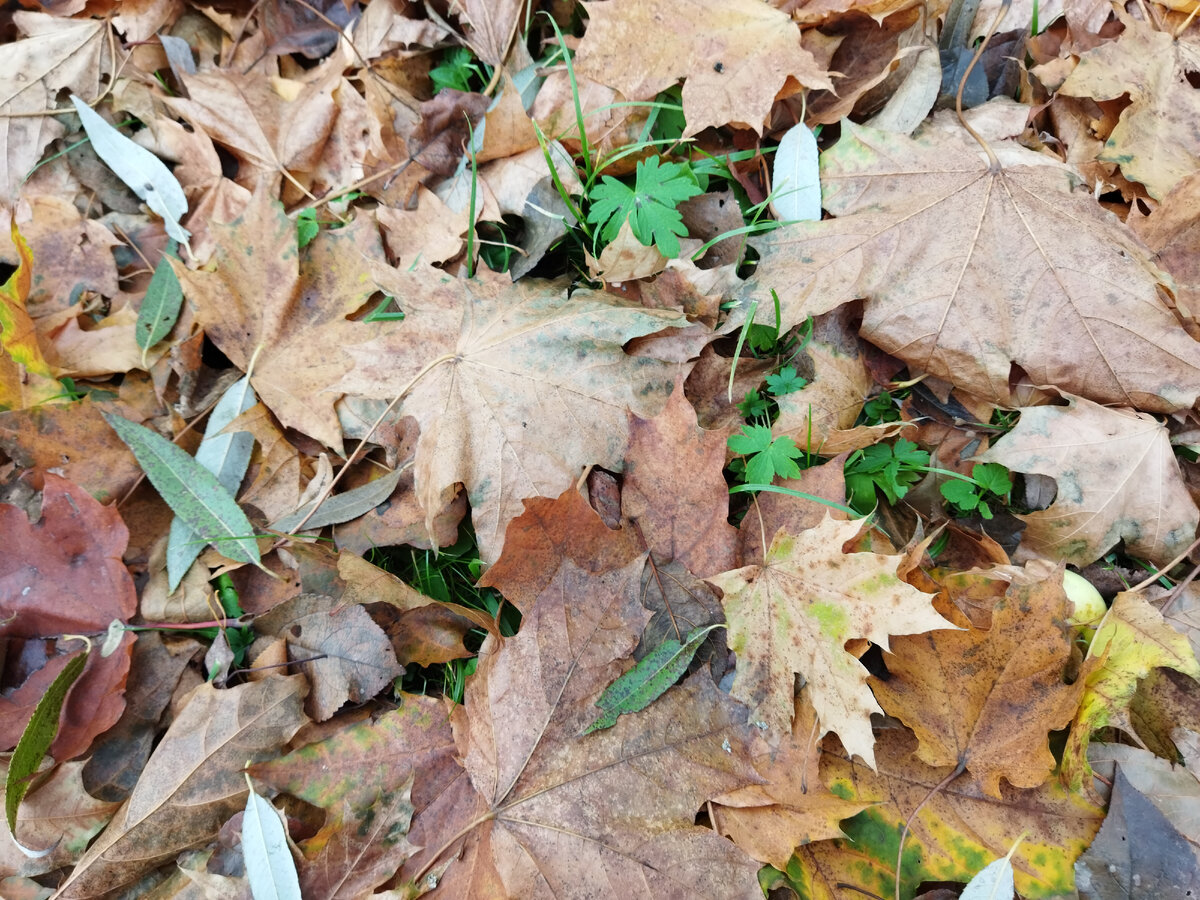 Фото мое, самое-самое оригинальное) 