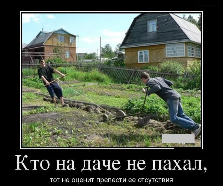 Картинки на дачную тему с юмором