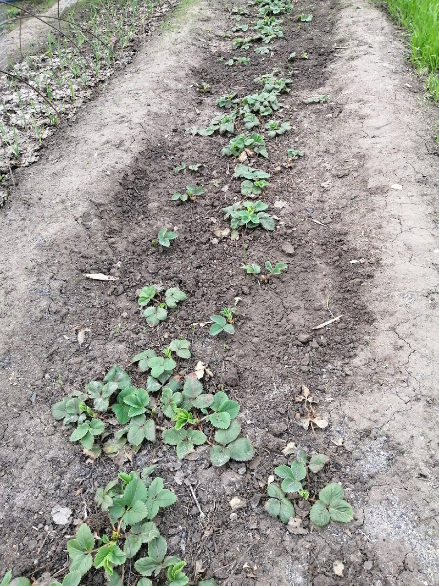 убираем все лишнее