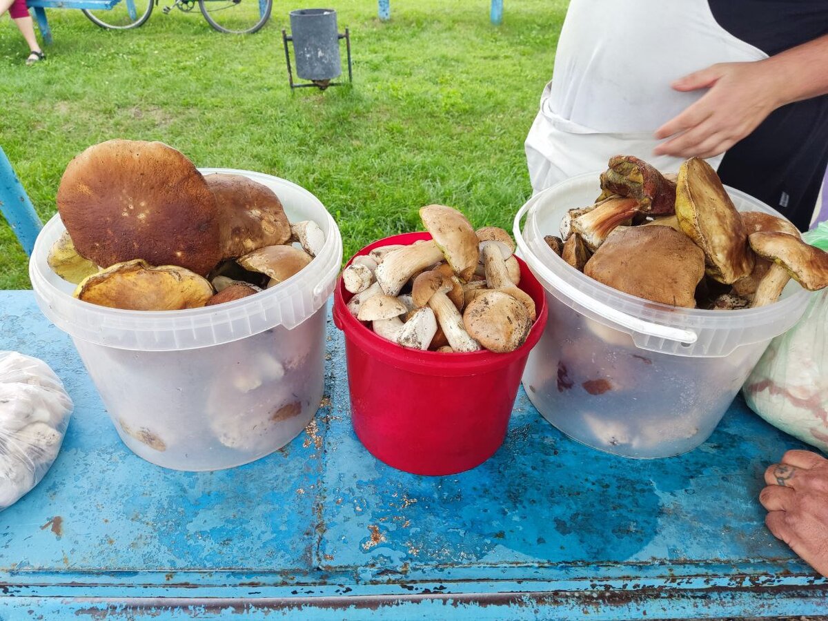 Да-да, в грибах тоже! Особенно, если покупаешь с рук и не знаешь, где собирали, как хранили