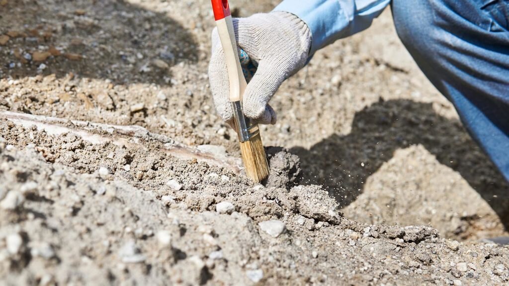    paleontologist's hand with brush cleansing fossil bone from sand and stone Александр Шереметьев