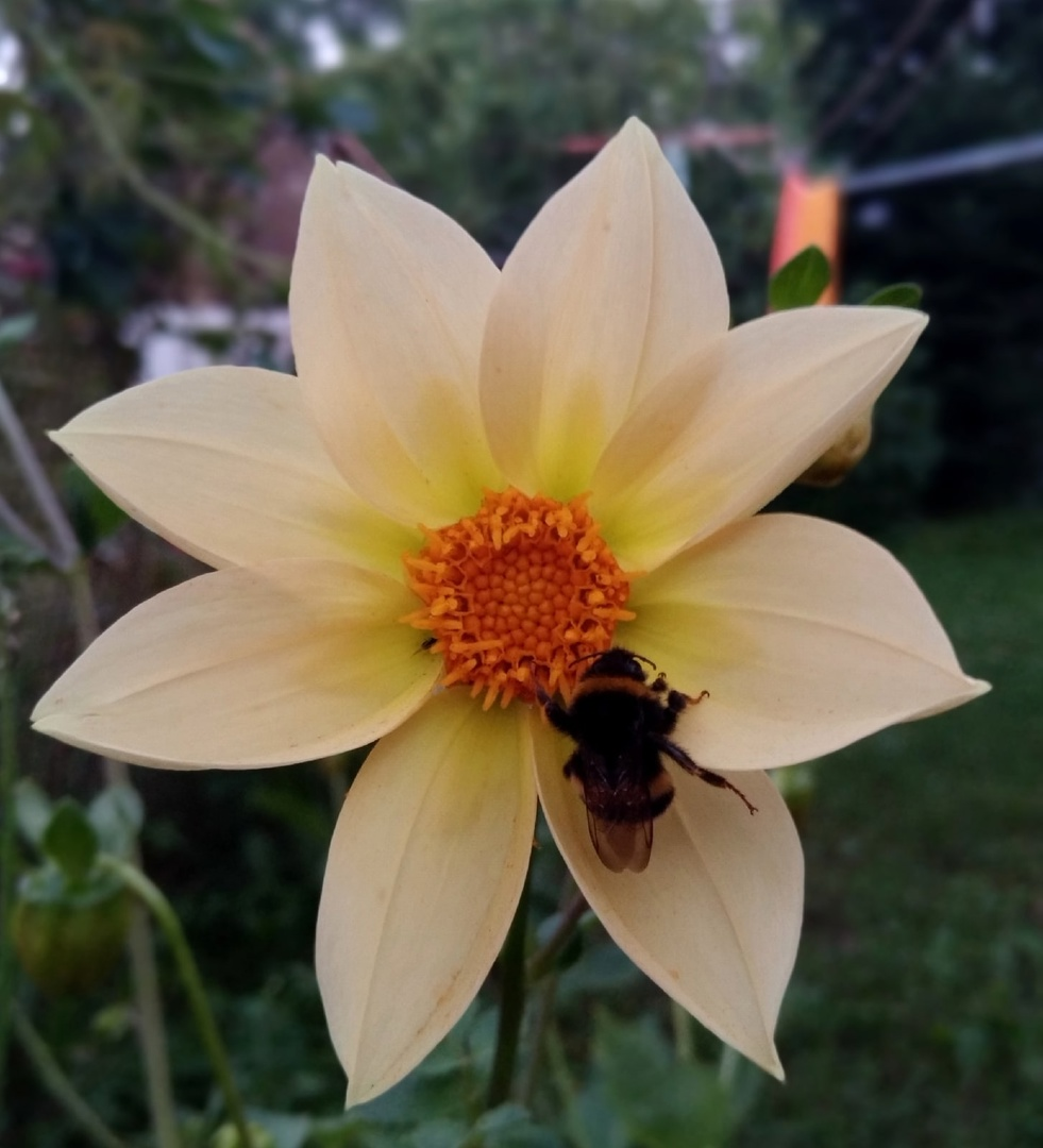 Фото Петра Солдатова. 