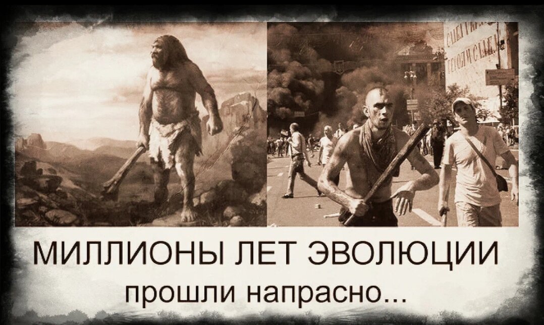 Из открытых источников.