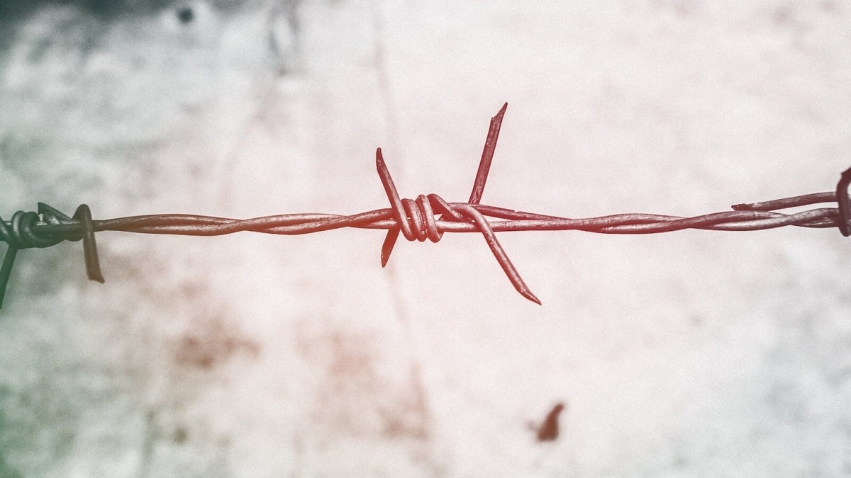    В Саратове возбуждено уголовное дело за незаконное удержание 13 человек в наркодиспансереНовости Саратова и области – Сетевое издание «Репортер64»