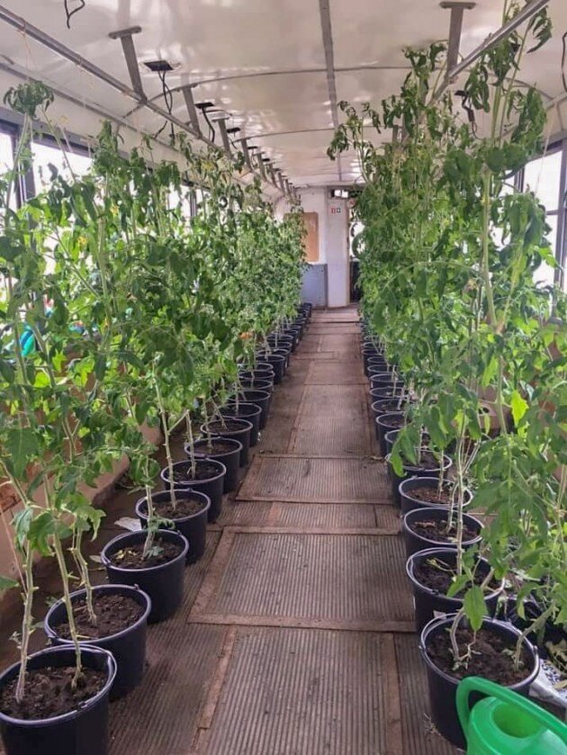    Фото: transphoto.org, Oskars Silovs