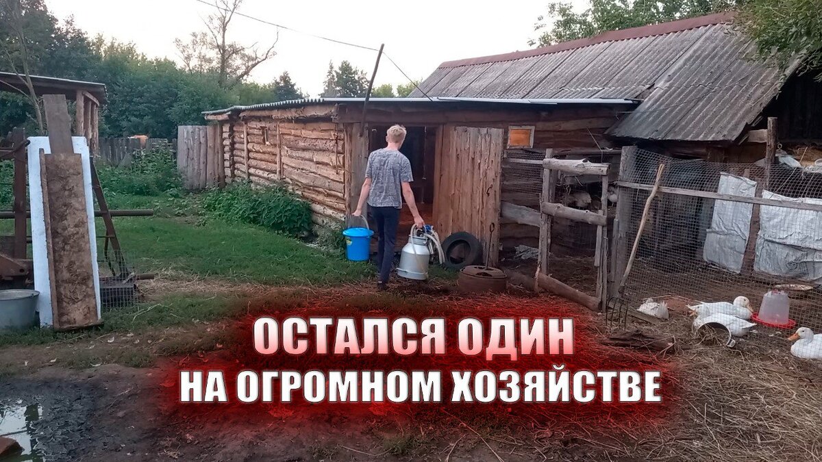 https://youtu.be/dDJLdt_v-ik