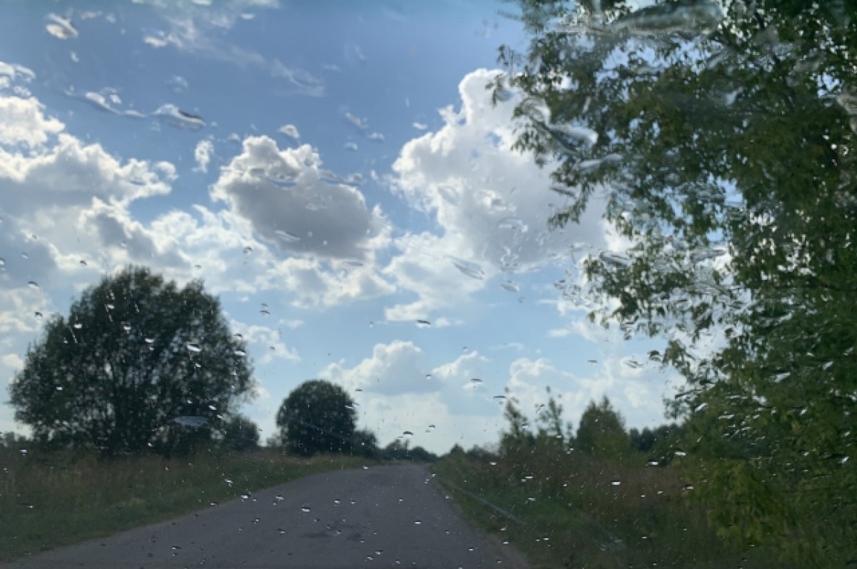    В МЧС предупредили жителей Карелии о непогоде 17 августа