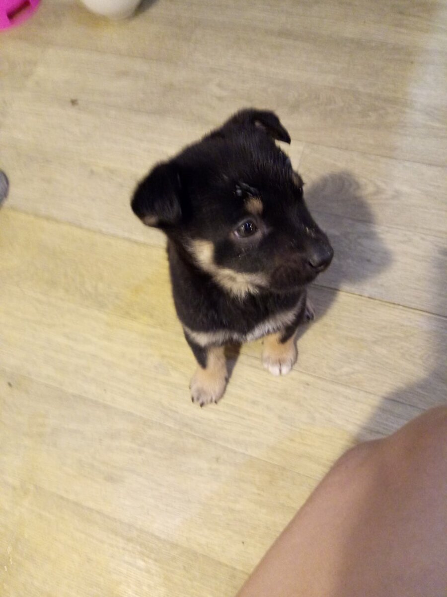 только принесли. первый день дома.