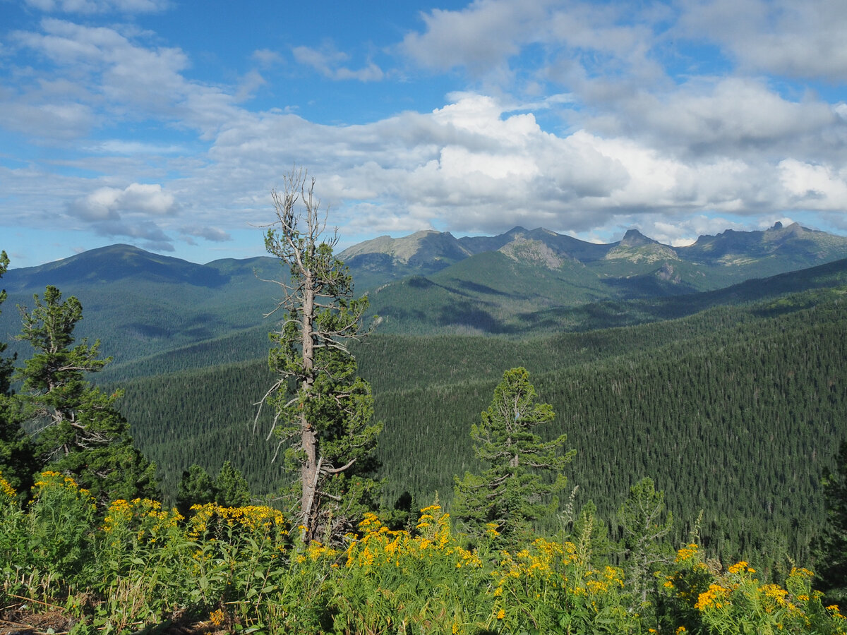 Абакан фото жители Юго Западного на Ергаках