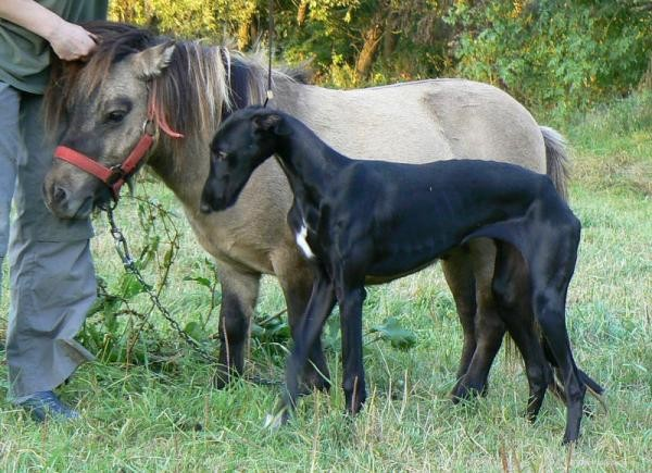 Так, ну и на кого садиться?