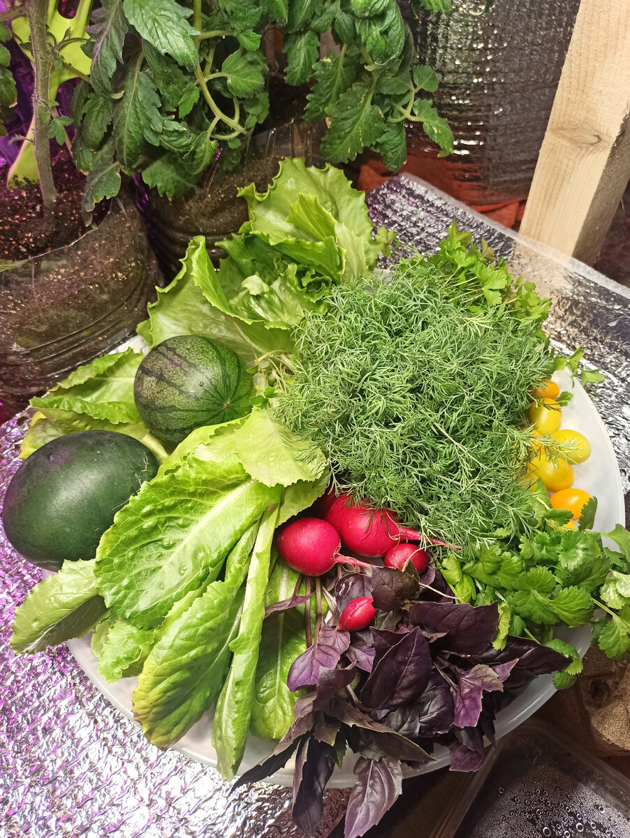 30.12.2021 Урожай на НГ