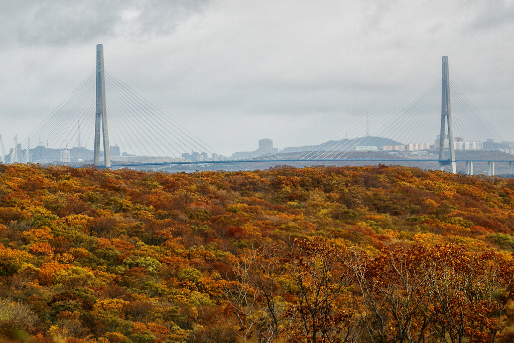 Владивосток сентябрь фото