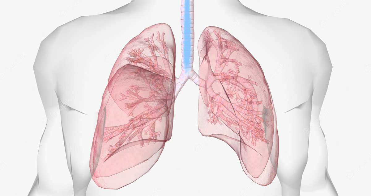 Паровой ингалятор применяется для лечения болезней верхних дыхательных путей, а небулайзер — для лечения болезней нижних дыхательных путей. Источник: freepik